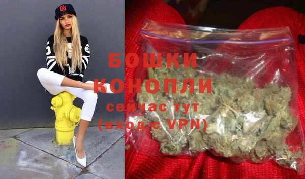 крисы Дмитровск