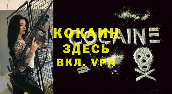 крисы Дмитровск